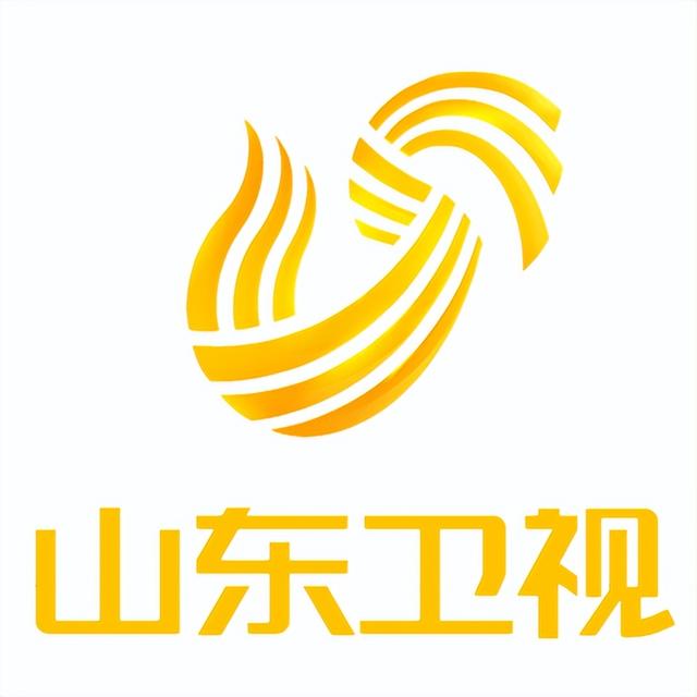 全國(guó)34家卫视logo